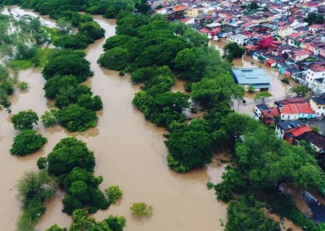 Cambio Climático: qué ciudades de la Argentina podrían quedar bajo el agua en 2100