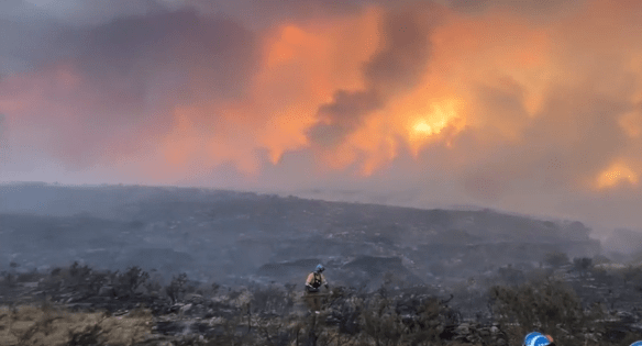 Incendios y drama en Córdoba: hay nuevos focos activos, más de 50 evacuados y un detenido