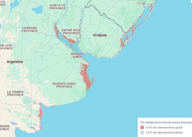 El nivel del mar aumenta en el mundo: qué regiones de Argentina están en riesgo